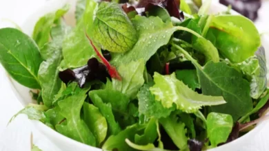 Salada de Folhas Verdes